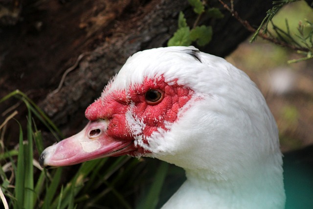 揽获三连胜 揽获三连胜