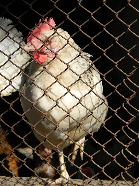 将严重影响 将严重影响