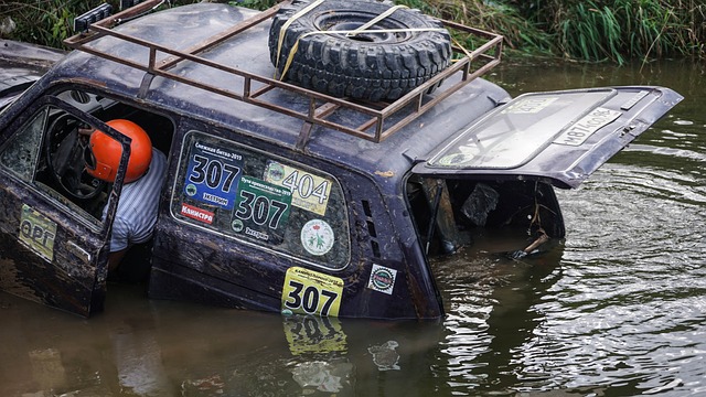 全场共出示 全场共出示