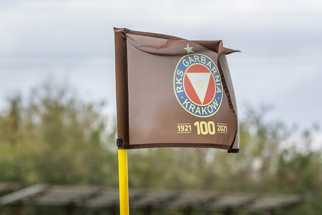 在希尔德的 在希尔德的