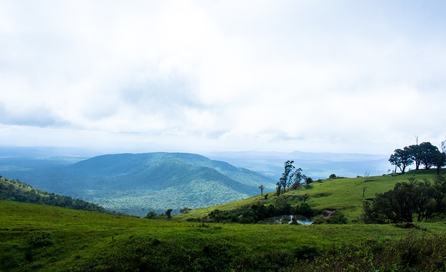 场上积极性 场上积极性