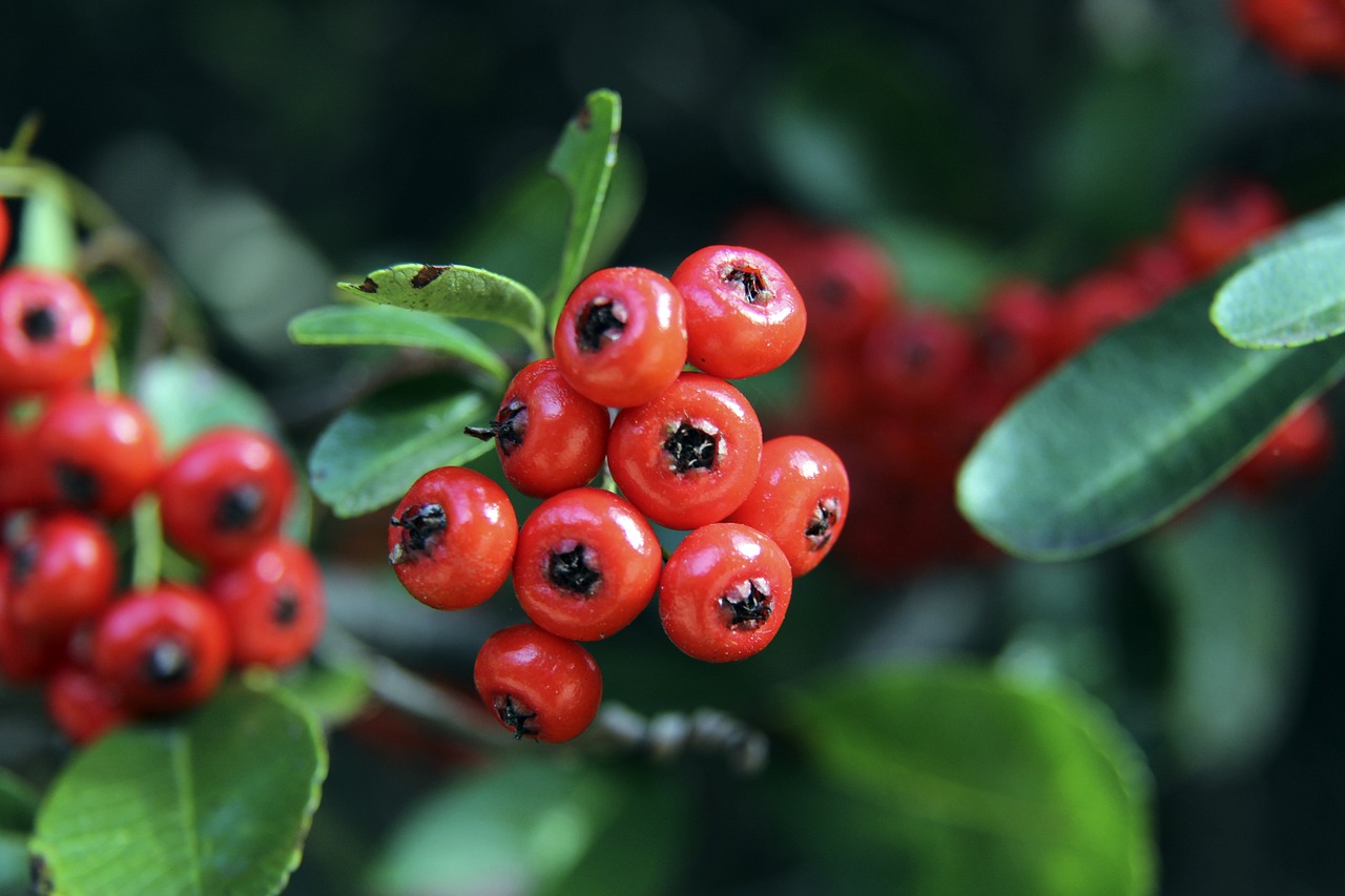 示出下滑的 示出下滑的