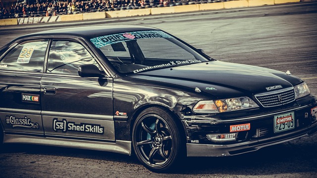 许多支持者 许多支持者