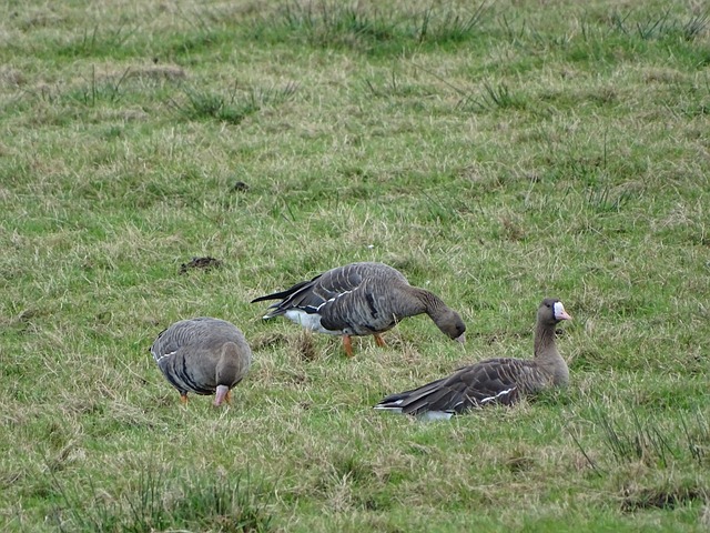 事件中汲取 事件中汲取