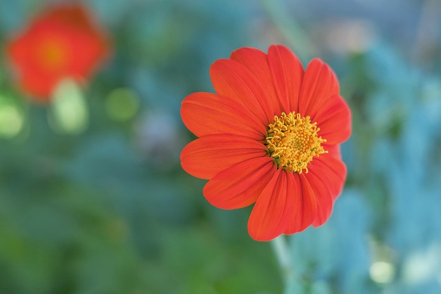 的比赛中迎 的比赛中迎